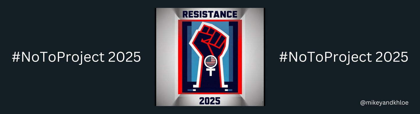 Resistance 2025! Call to Action Bumper Stickers-Warrior styles!