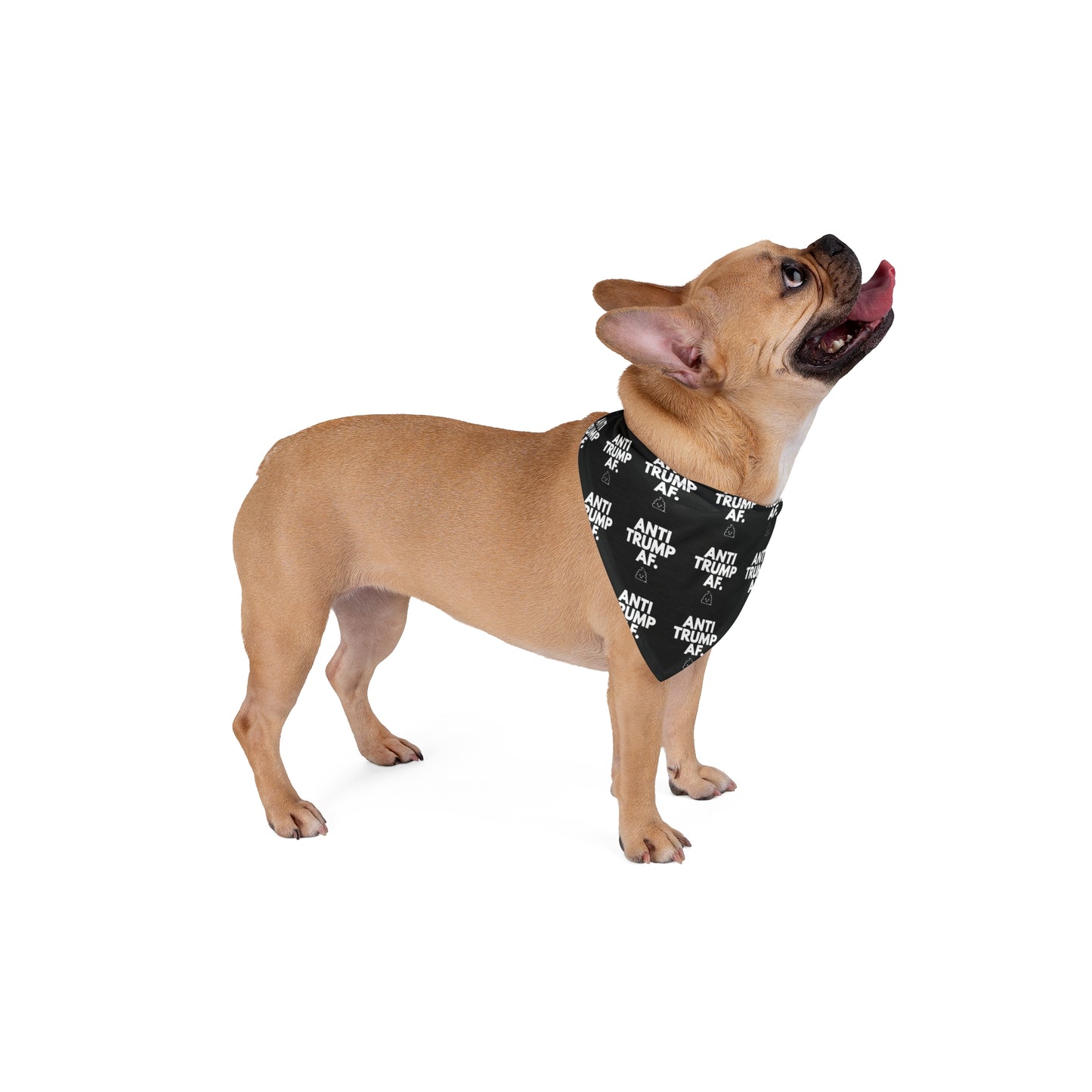 Anti-Trump AF Pet Bandana - for Political Pets and their Pet-Lovers